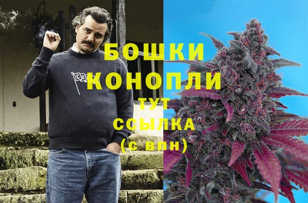 PSILOCYBIN Абаза