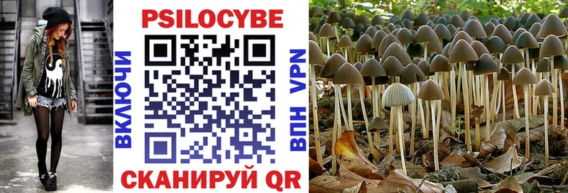 Галлюциногенные грибы Psilocybine cubensis  Касли 